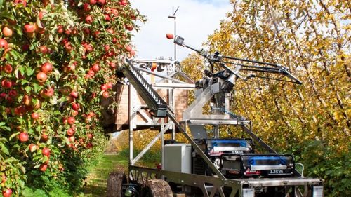 Proiectul ”Eva”, robotul conceput să culeagă fructe mai rapid decât omul; mașina se află, în prezent, în teste, în Australia