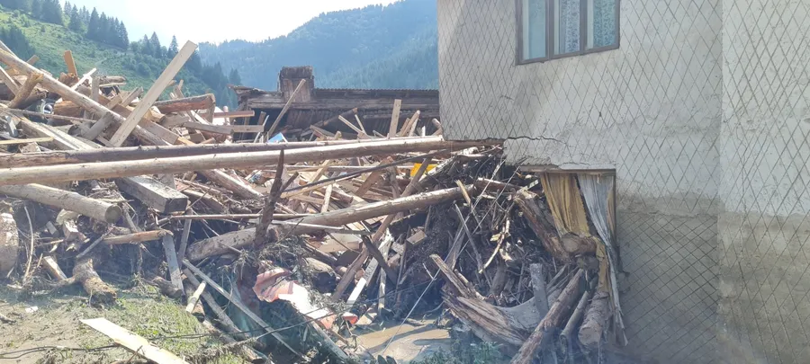 brosteni dupa inundatii