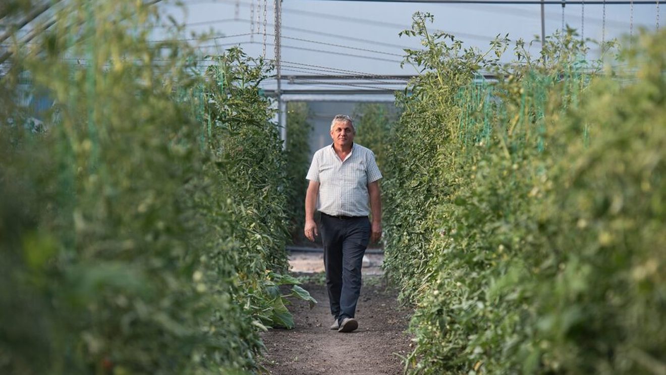 România a pierdut 2.600 de soiuri locale, avertizează Costel Vînătoru, specialist în genetică vegetală: „Suntem dependenți de importuri”