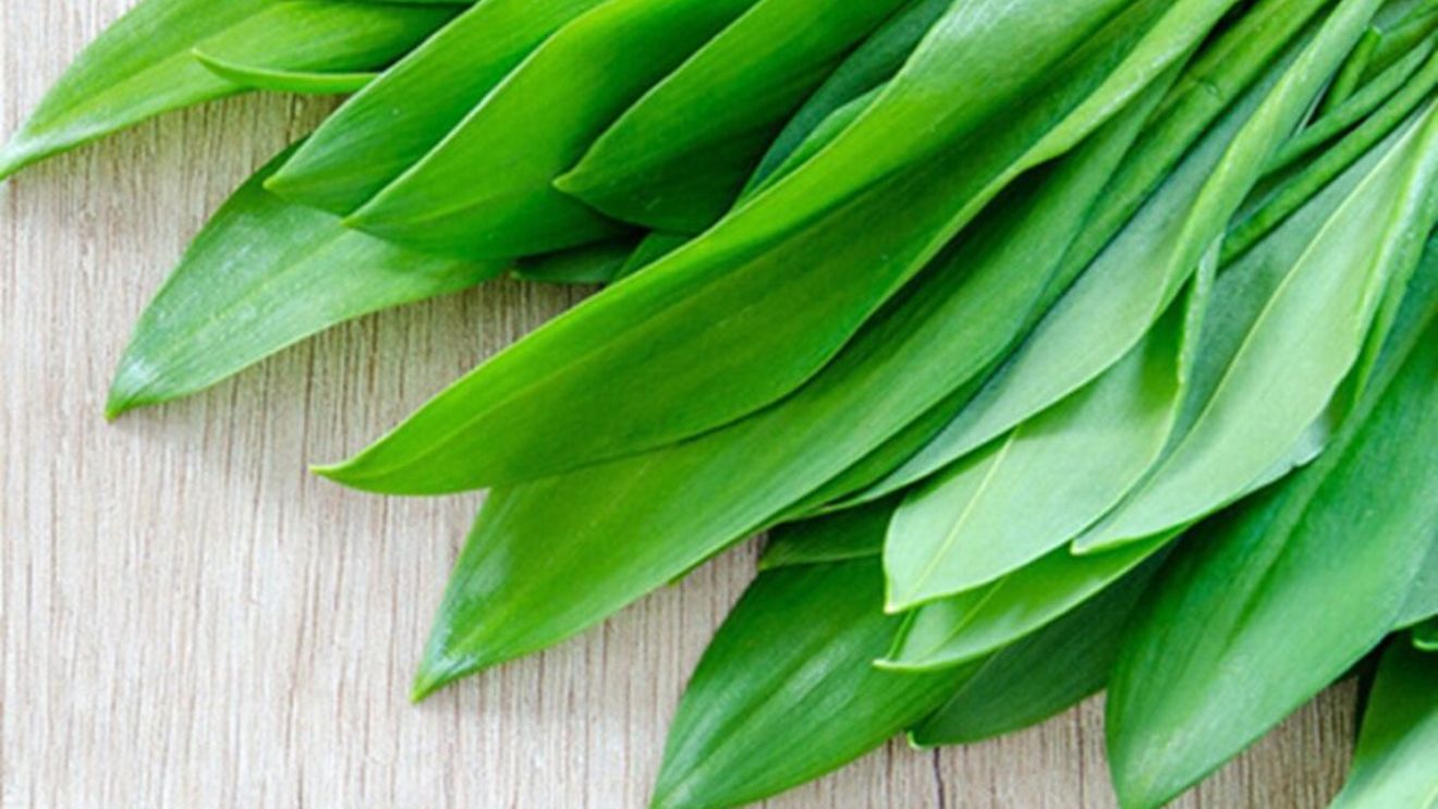 VIDEO | Irina Loghin gătește salată de leurdă / Vedeta prezintă o rețetă pe cât de simplă, pe atât de gustoasă, dar vorbește și despre obiceiurile ei alimentare care o ajută să se mențină în formă la cei 85 de ani