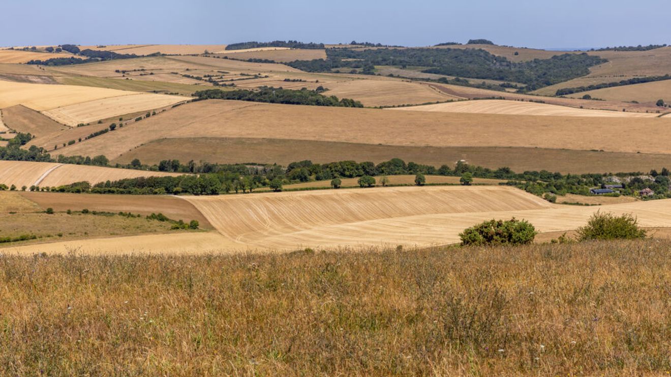 Noi scumpiri la alimente în Europa, după ce canicula a lovit recoltele. România este una dintre puținele excepții