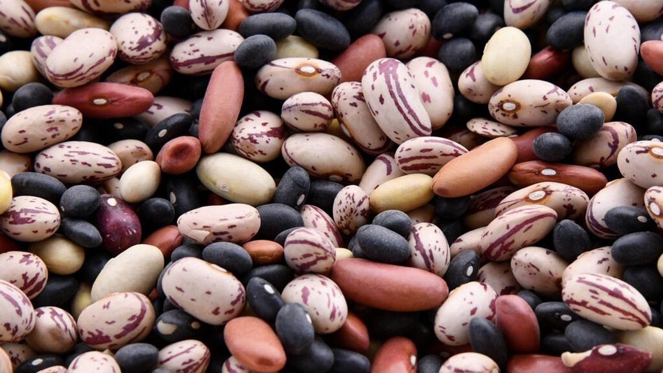 Fasolea de la A la Z. De la un cadou imperial la mâncarea populară de azi
