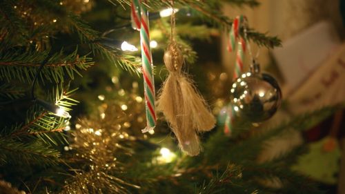 De unde vine tradiția împodobirii bradului cu dulciuri și cum s-a schimbat obiceiul în decursul secolelor. De la mere și nuci în poleială până la bomboane de pom cu diverse arome și batoane de ciocolată artizanală