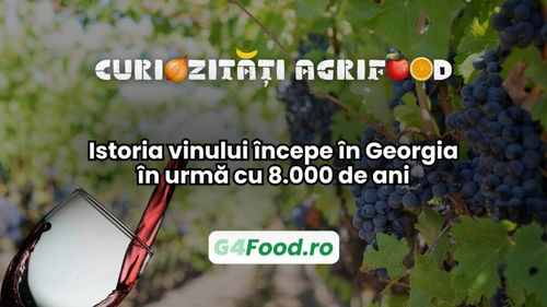 Curiozități agrifood - 2 iulie | Istoria vinului începe în Georgia în urmă cu 8.000 de ani/ Puțini știu, dar de aici provin cele mai vechi dovezi arheologice de vinificație