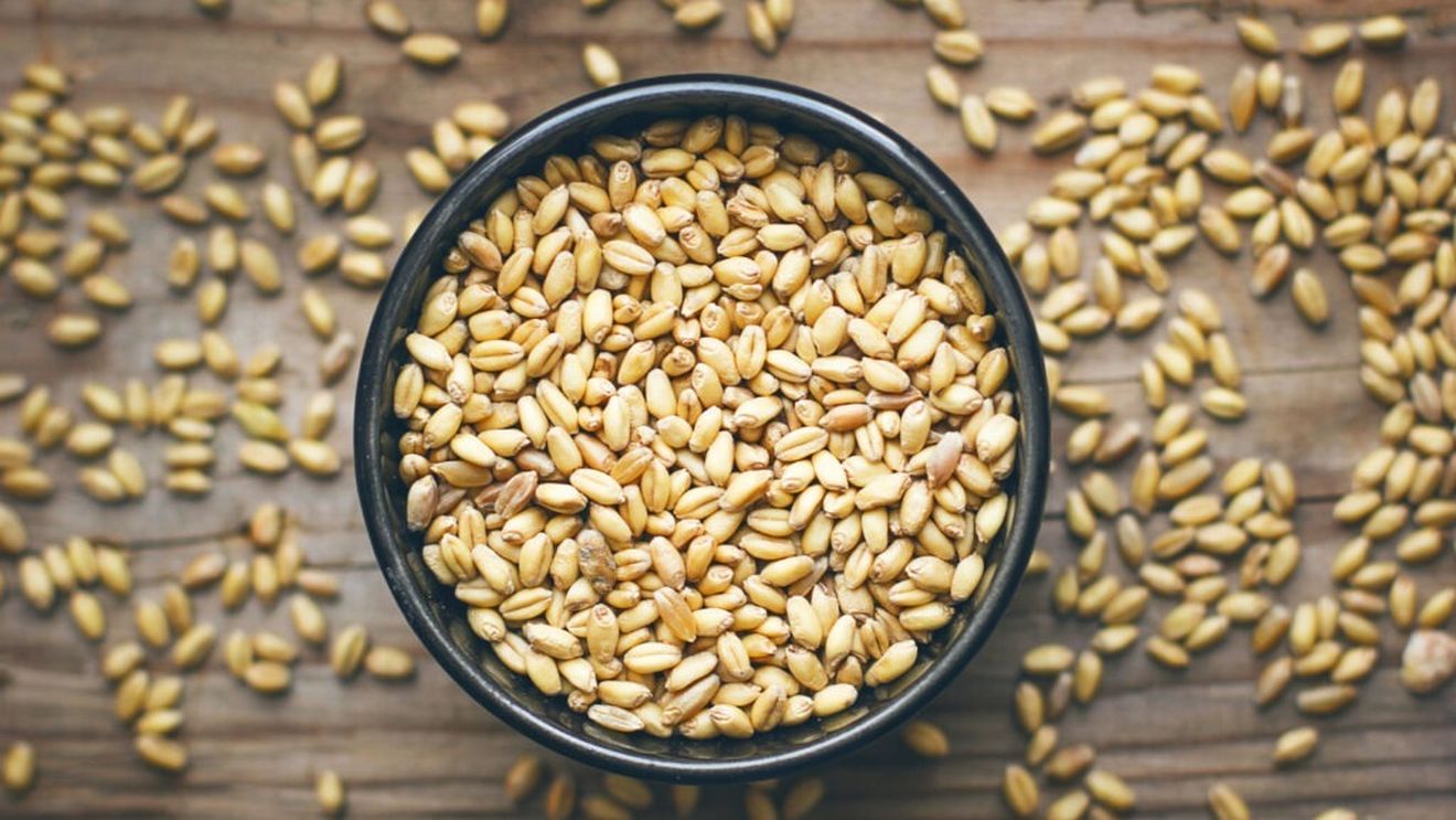 Noi soiuri de orz pentru bere, validate de experții germani după testări ample de malțificare și fabricare / Rezultatele preliminare indică un potențial interesant pentru industria berii