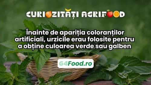 Curiozitate agri-food 20 martie: Înainte de apariția coloranților artificiali, urzicile erau folosite pentru a obține culoarea verde sau galben