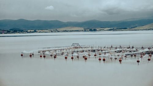 Legea care reglementează activitatea de acvacultură, adoptată de Parlament / Actul normativ merge la promulgare