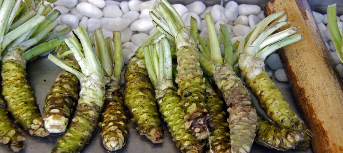 20 de alimente rare care refuză să crească în altă parte / De la wasabi la trufa albă, de ce contează locul de origine