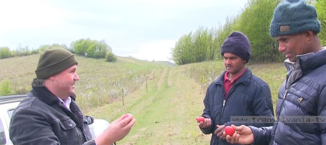 VIDEO | Printre bivoli și dor de casă / Povestea muncitorilor din Sri Lanka ajunși în România, o viață departe de casă a doi străini care muncesc într-o fermă din România