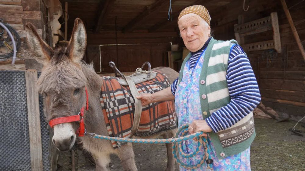 Maria Hoadrea, bunica din Țara Colibelor/ Povestea femeii care hrănește drumeții în Munții Cindrel