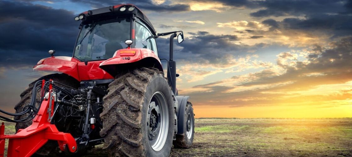 Bielorusia forțează agricultura pe pământurile contaminate de la Cernobîl/ Specialiștii spun că e periculos