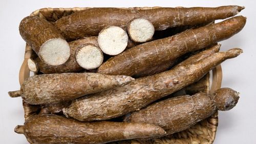 Institute de cercetări din Insulele Canare și Cuba studiază modalitatea de a folosi yuca pentru hrana animalelor