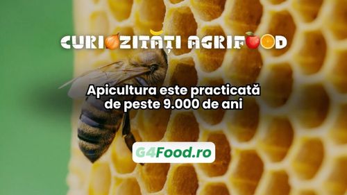 Curiozități agri-food 15 ianuarie: Apicultura este practicată de peste 9.000 de ani