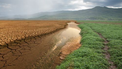 „În fiecare secundă pierdem patru piscine de dimensiuni olimpice”, conform unui nou raport realizat de Banca Mondială