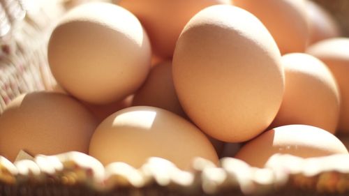 Exporturile de ouă ale Braziliei au atins un nou record/ Doar în aprilie 2025, au fost exportate 4.300 tone de ouă/ Valoarea acestora se ridică la 10,57 milioane dolari