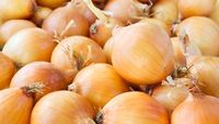 În Moldova, prețurile la ceapă au crescut cu 50%/ Stocurile de pe piața internă mai ajung 3 săptămâni