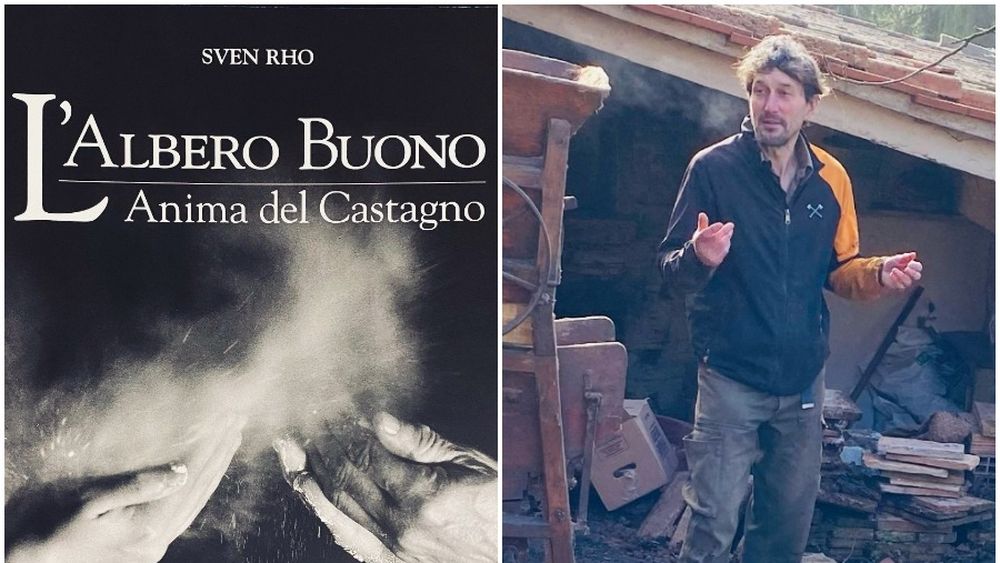 Toate produsele inovative pe care le realizează cu castanele de pe o fostă proprietate abandonată din Toscana un curajos antreprenor italo-olandez