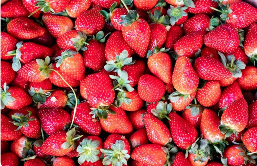 Amenzi-pentru-vânzări-ilegale-de-fructe