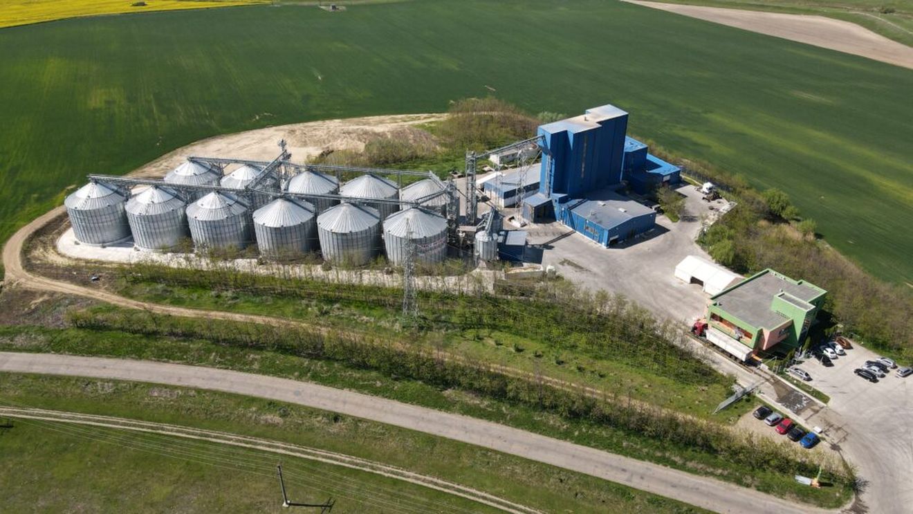 Premieră în România: o fabrică de nutrețuri obține certificarea GMP+ / Ce presupune certificarea pentru producția fără antibiotice
