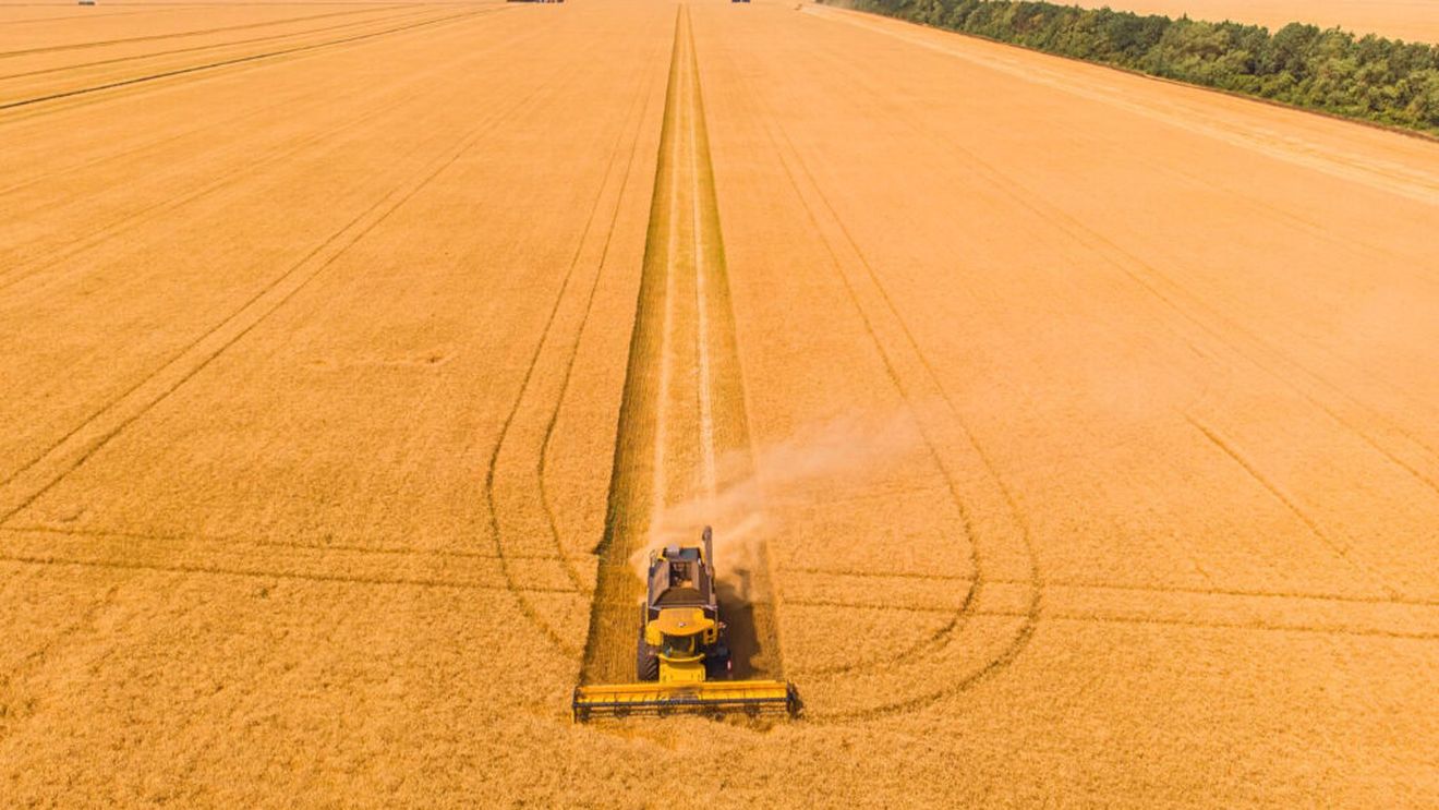 Un gigant agricol cu sute de mii de hectare a fost naționalizat în Rusia, pe fondul presiunilor tot mai mari asupra mediului de afaceri / Proprietarul este în arest