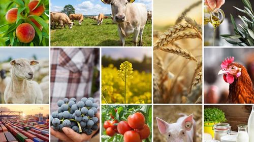 Raportul Comisiei Europene privind perspectivele pe termen scurt ale piețelor agricole din UE. Rezistență în contextul instabilităților geopolitice și al variabilității climatice