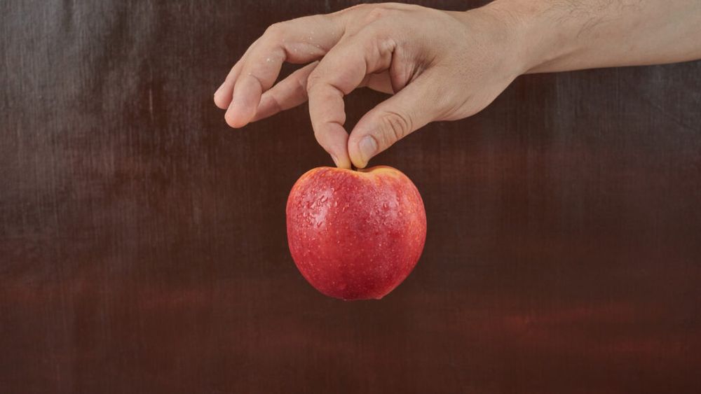 Cartilaj uman crescut în laborator cu ajutorul merelor / Cercetătorii folosesc structura celulară a fructelor pentru a crea țesuturi care ar putea repara articulațiile / Tehnologia este încă în stadiu experimental