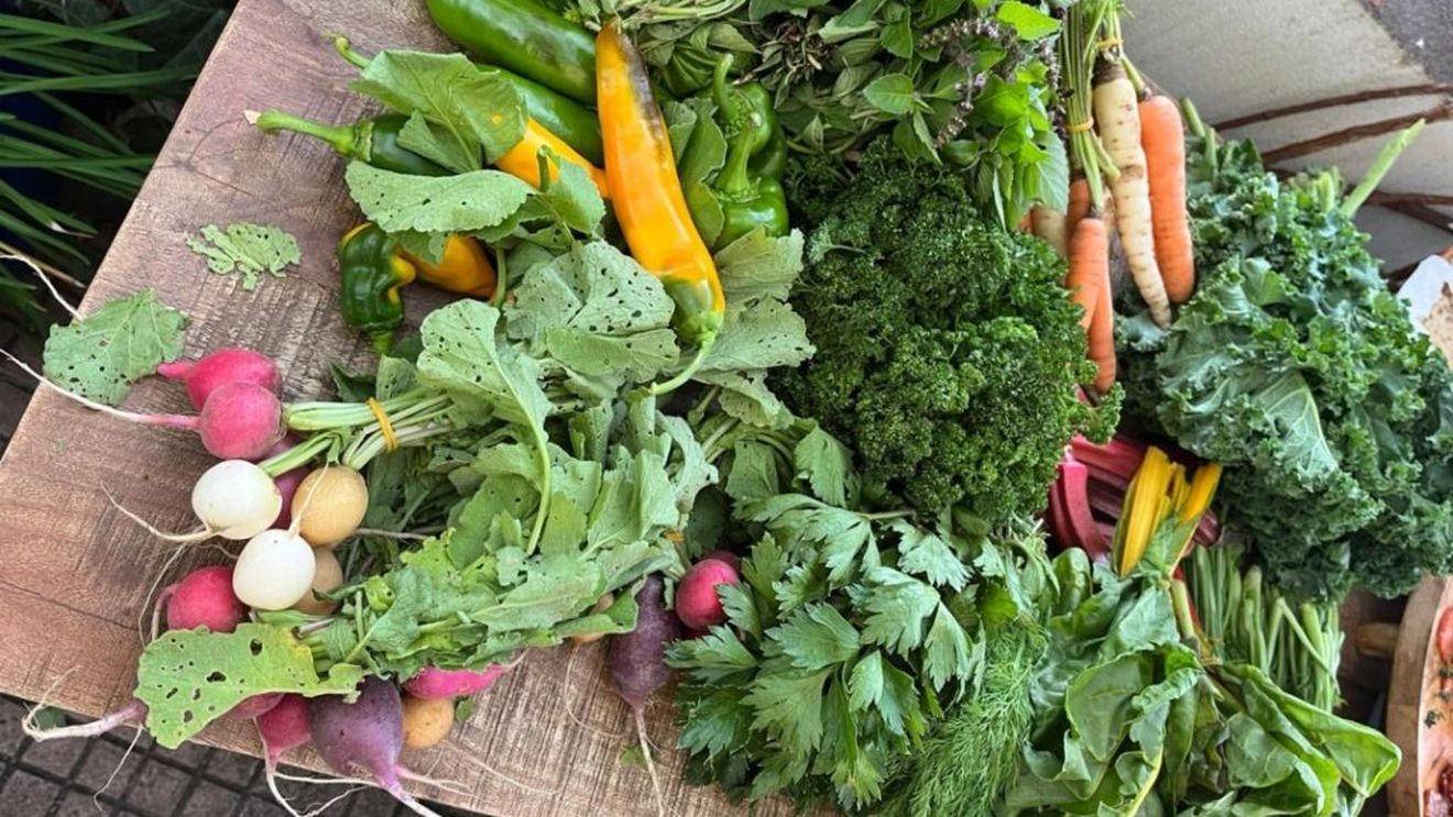 Ministrul Agriculturii: În momentul de faţă, este o problemă de a integra producătorii români în magazinele de retail din România