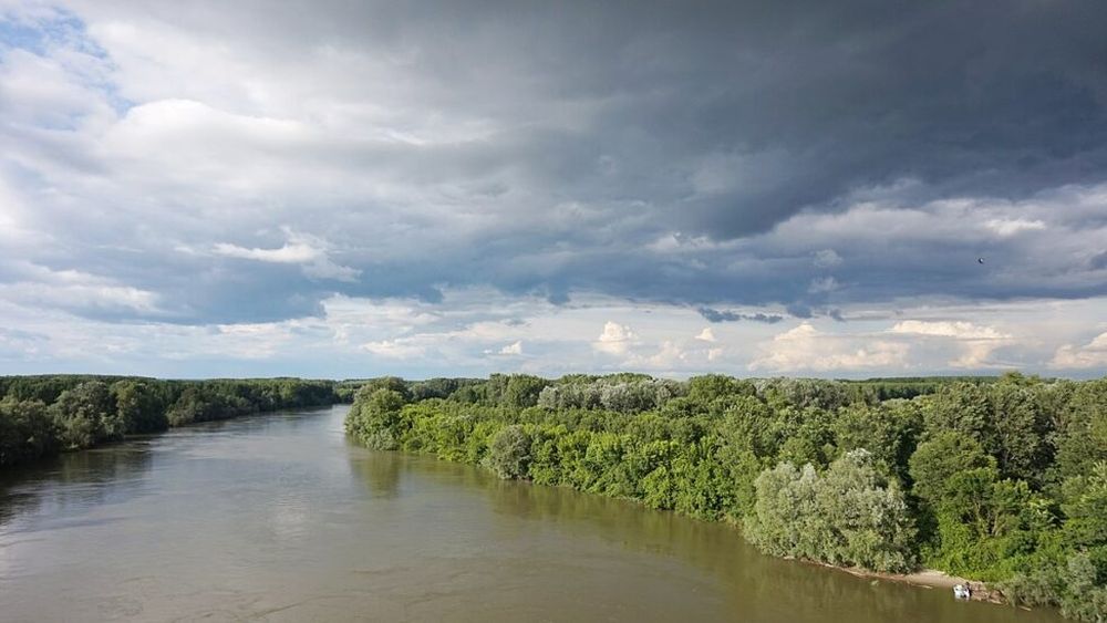 Brăila: Focar de pseudopestă aviară, boală virală fără tratament, în Parcul Natural Balta Mică a Brăilei