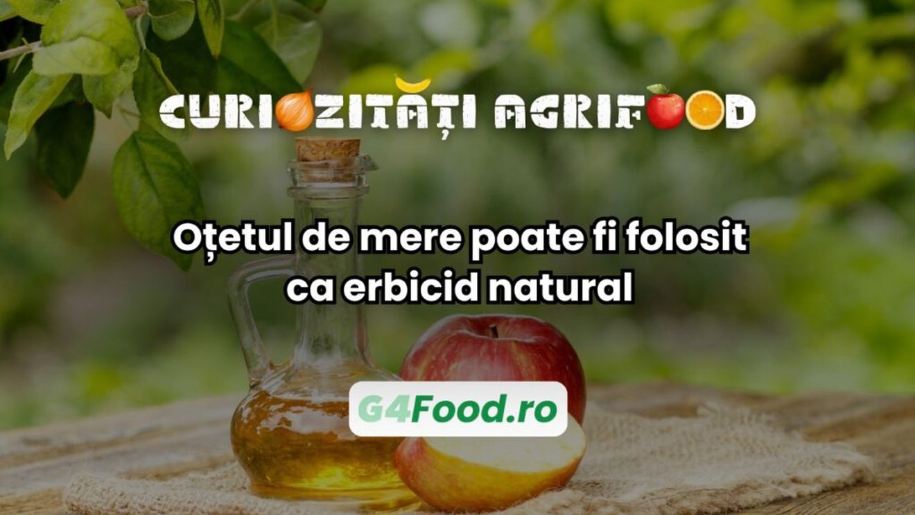Curiozități agri-food: Oțetul de mere poate fi folosit ca erbicid natural / Concentrația mare de acid acetic îl face eficient în combaterea buruienilor