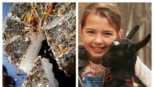 Fermier cu valoare adăugată: Proprietarii „Fermei Hărman” din județul Brașov încearcă să își păstreze autenticitatea într-o lume tot mai industrializată. Din laptele muls de la caprele crescute de ei fac Camembert sau brânză maturată 100 de zile / „Este un proiect gospodăresc, care s-a născut din dorința de a avea pe masă produse naturale și proaspete”