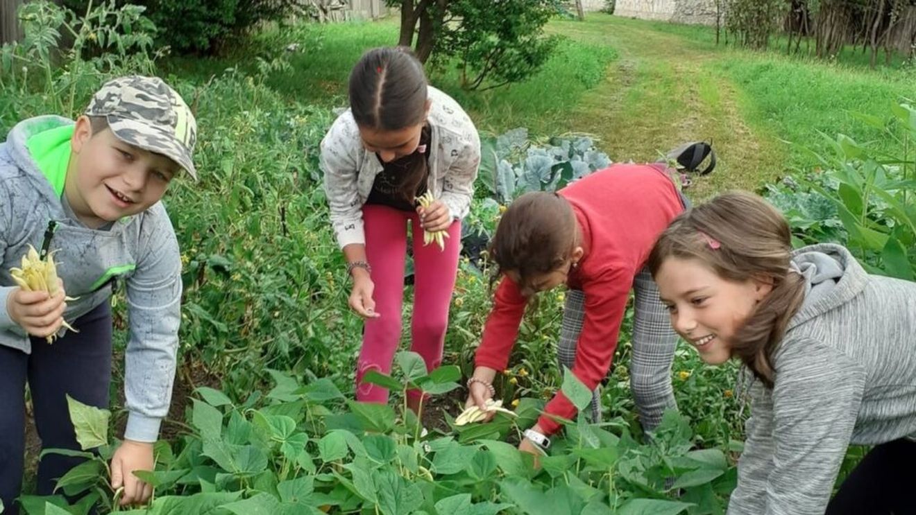 Covasna: Programul 'Micii grădinari', lansat în zona metropolitană Sepsi, va continua şi anul viitor