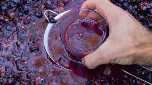 Toamnă cu gust de must și pastramă / Patru zile de arome tradiționale în Parcul Izvor, la Festivalul de Bun Must și Pastramă