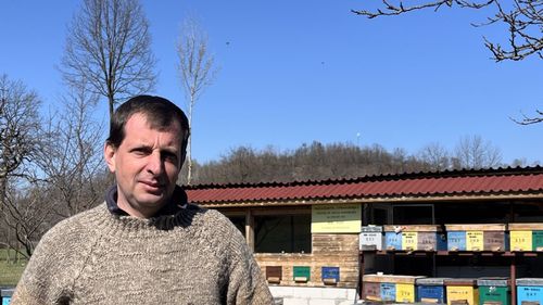 VIDEO | Mierea de castan, printre cele mai scumpe produse apicole / Ciprian Pașca, apicultor: Este o perioadă scurtă de recoltare și doar din doi în doi ani reușim să avem o producție mai bună 