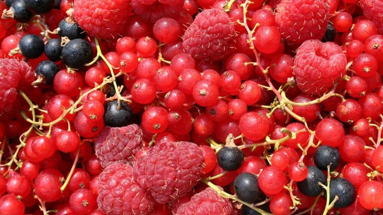 Șase fructe dintre cele mai comune, care conțin de trei ori mai mulți antioxidanți decât ceaiul verde