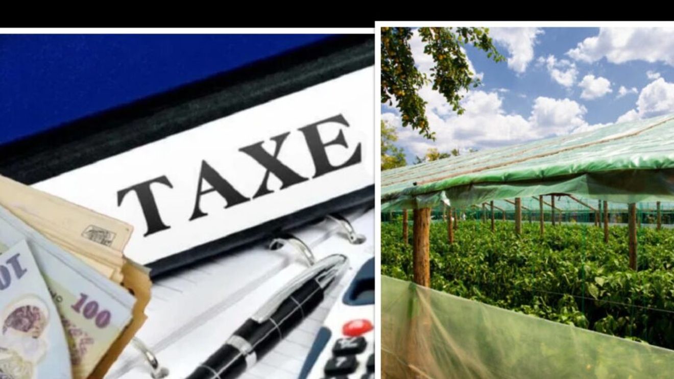 Noile măsuri de redresare fiscală lovesc și în agricultori. Serele, silozurile și alte spații vor fi impozitate de la 1 ianuarie