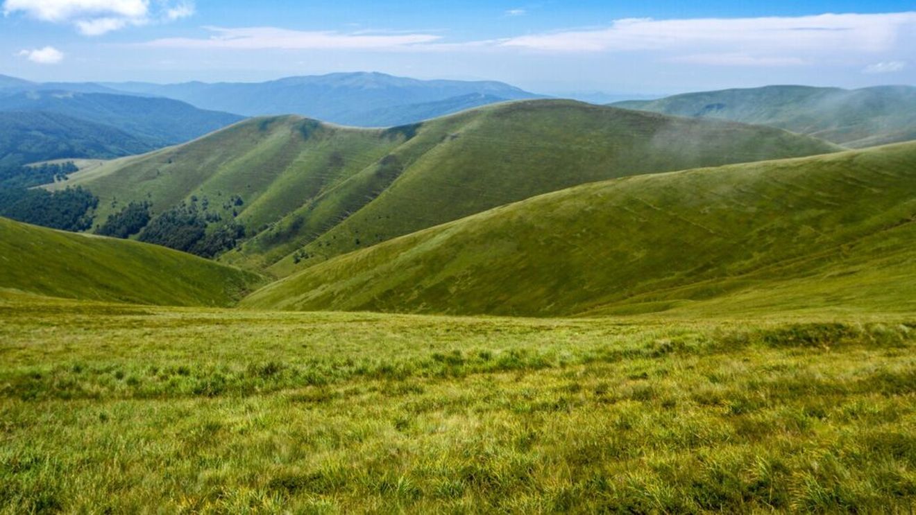 Căsuțe din lemn pentru insectele care participă la polenizare, pentru menținerea biodiversității, finanțate printr-un proiect cofinanțat din fonduri europene