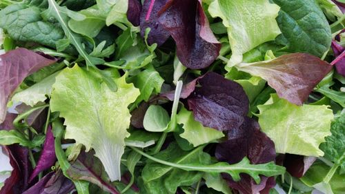 Patru dintre legumele cele mai bogate în nutrienți, conform specialiștilor/Ar trebui să le consumăm frecvent, spun ei