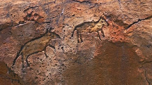 Oamenii trăiau în Papua de Vest încă de acum cel puţin 55.000 de ani. Erau vânători, iar hrana era specifică zonelor de coastă