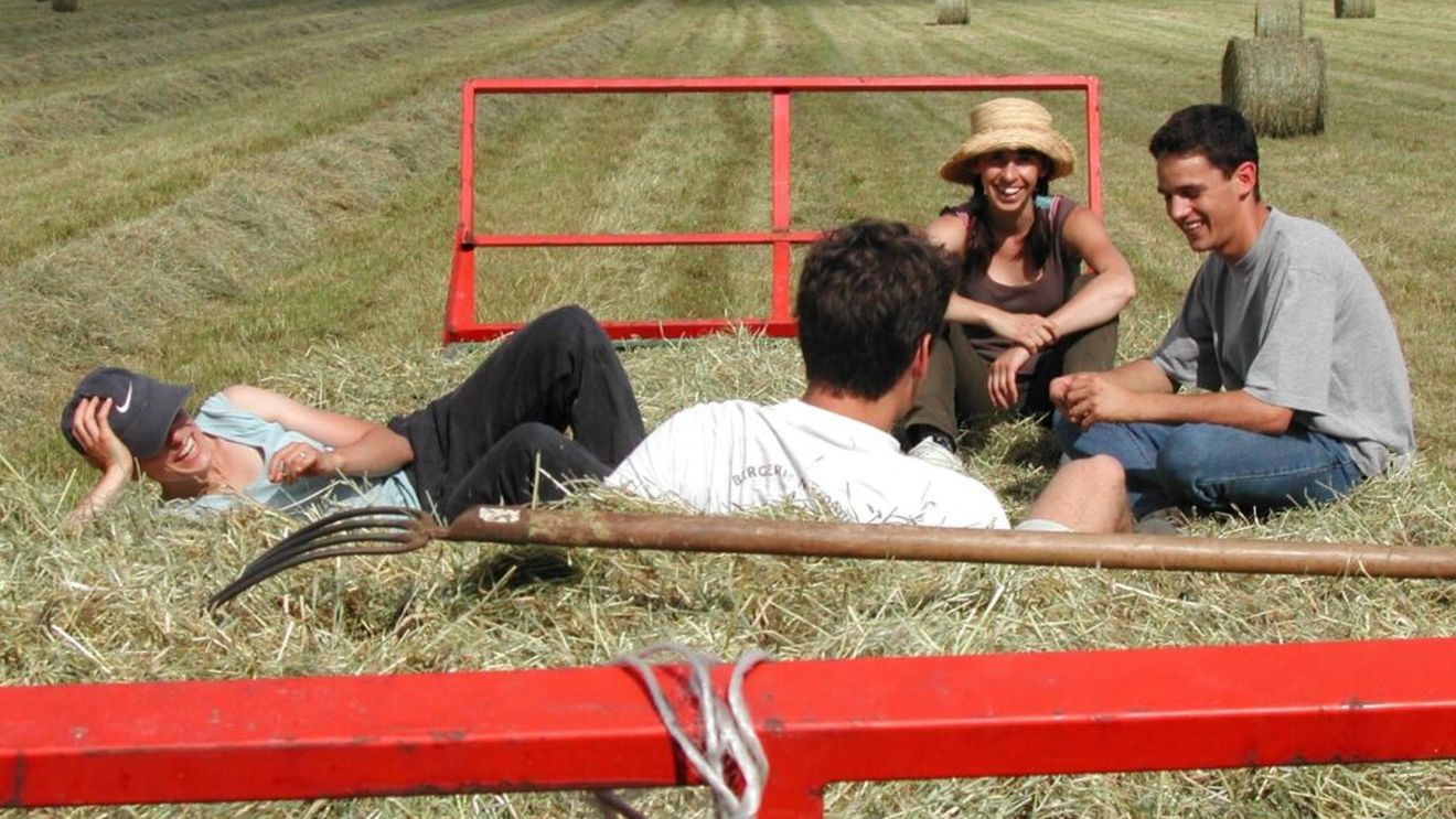 DOCUMENT | Condiționalitatea socială, o bombă cu ceas pentru agricultura din România: Începând de anul acesta fermierii riscă să piardă subvențiile agricole dacă nu respectă cerințele privind angajații, inclusiv zilierii