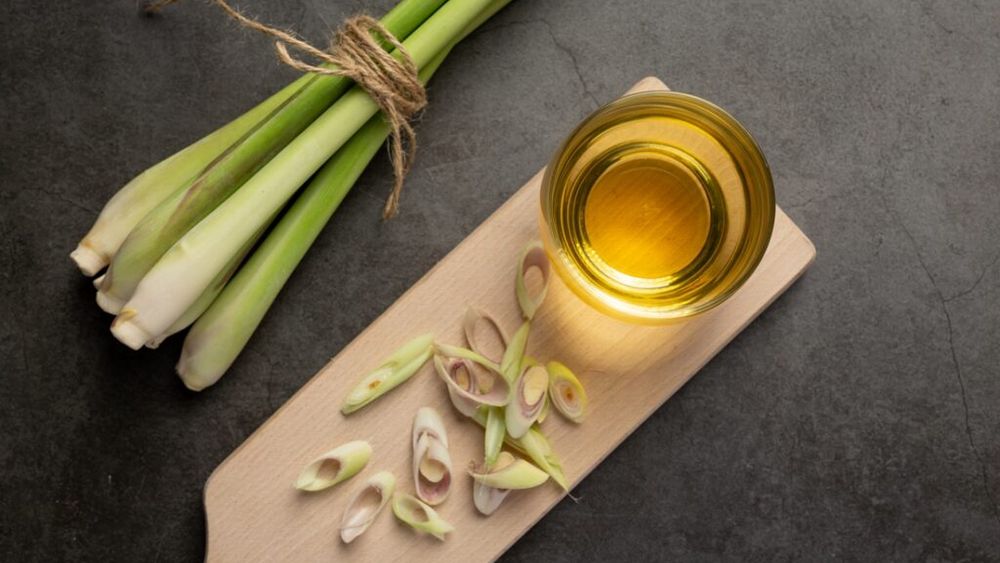 Plantele aromatice care te ajută să ții păienjenii și muștele la distanță. Trucuri pentru perioada de vară