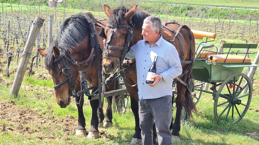 Roberto Pieroni a investit într-o vie din Delta Dunării/ Azi a ajuns să exporte vinul ”La Sapata” în SUA, Elveția și Japonia