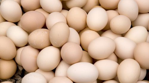 Ministrul Agriculturii: România a devenit cel mai mare producător de ouă din regiune în anul 2024