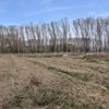 Oficial al Băncii Centrale Europene: Criza climatică și degradarea naturii amenință stabilitatea financiară a Europei