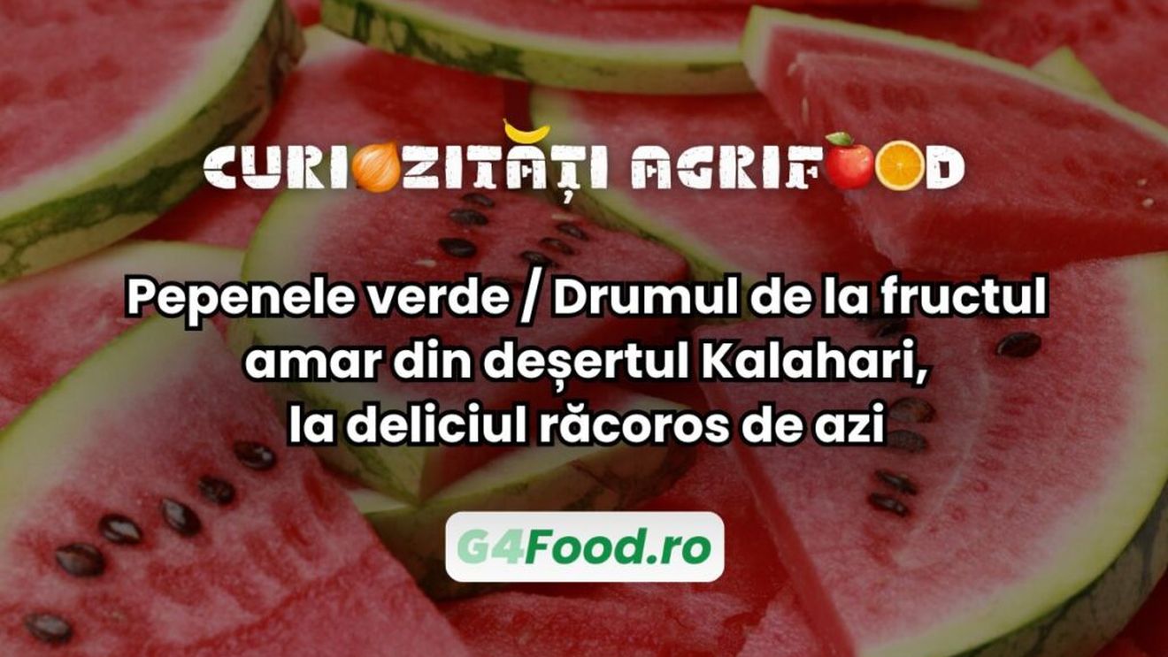Curiozități agri-food: Pepenele verde / Drumul de la fructul amar din deșertul Kalahari, la deliciul răcoros de azi / În Egiptul antic, pepenele era oferit ca hrană pentru viața de apoi