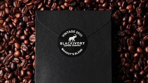 Black Ivory, cea mai rară cafea din lume, recoltată a doua oară după ce trece prin stomacul elefanților