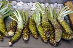 20 de alimente rare care refuză să crească în altă parte / De la wasabi la trufa albă, de ce contează locul de origine