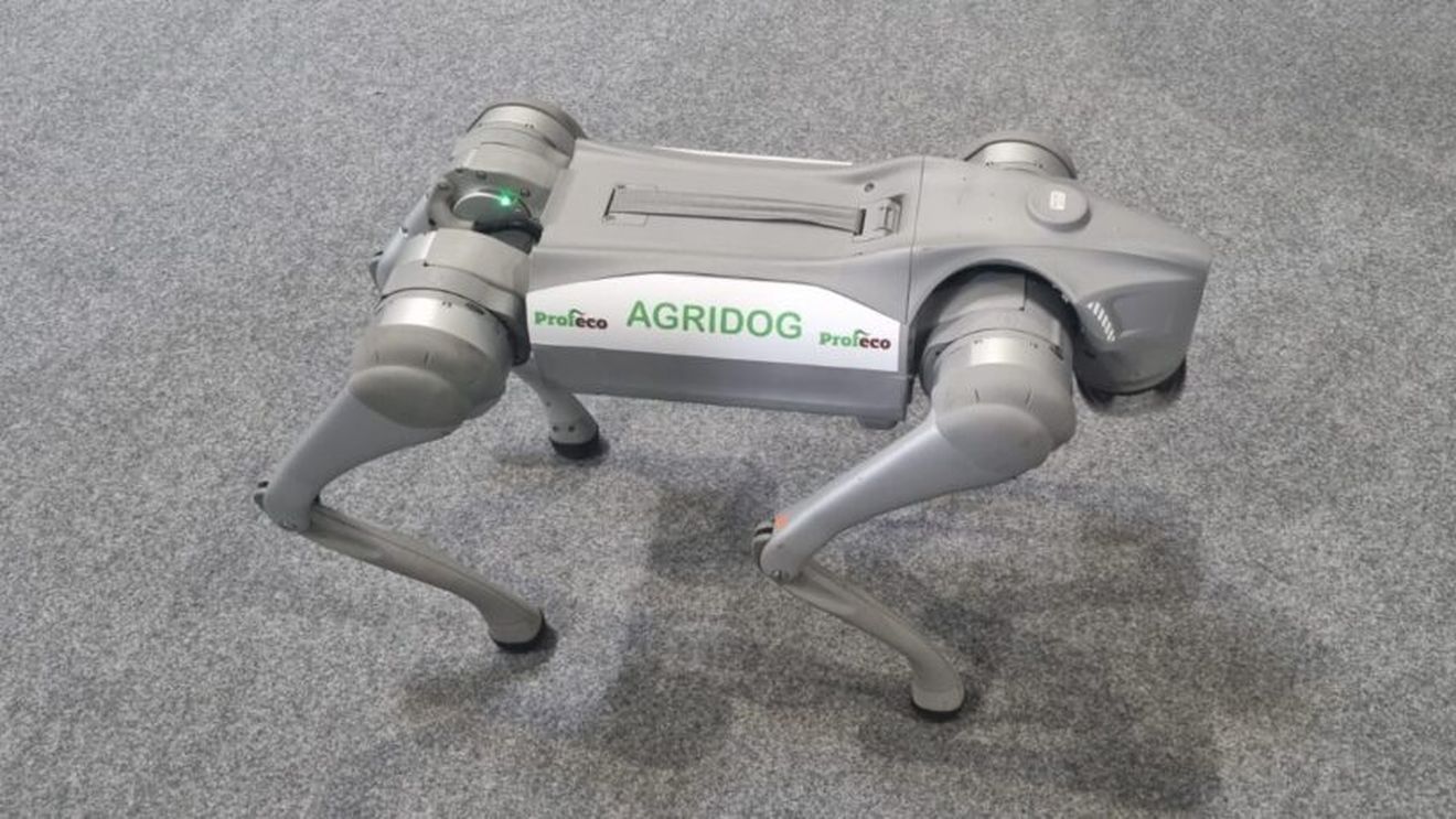 VIDEO | Agridogul, câinele robot care nu mușcă și nu latră, dar care poate fi de real folos agricultorilor / Dezvoltator: „Dacă un fermier îl lansează în cultură, acesta poate depista foarte repede unde sunt probleme, unde sunt dăunători, unde sunt boli și, practic, își reduce foarte mult costurile”