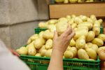 Cartofii pot rezista de trei ori mai mult dacă sunt ținuți în frigider / De ce vechea regulă a cămării s-a schimbat