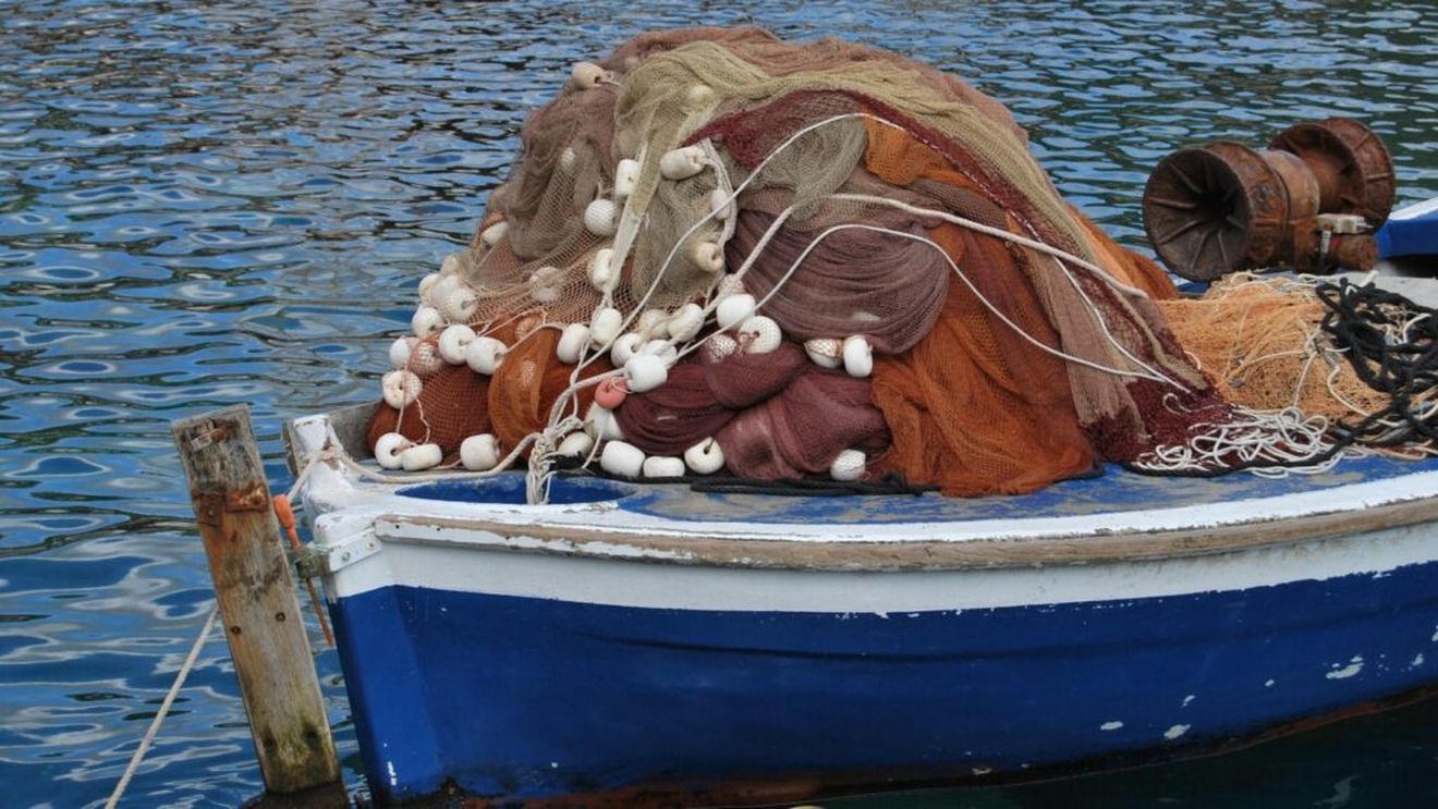 Pești și moluște, în crescătorii din Marea Neagră: Perimetrele marine pentru acvacultură adjudecate prin licitaţie publică reprezintă mai puțin de jumătate din suprafața oferită de Apele Române / Perioada de închiriere este de 20 ani