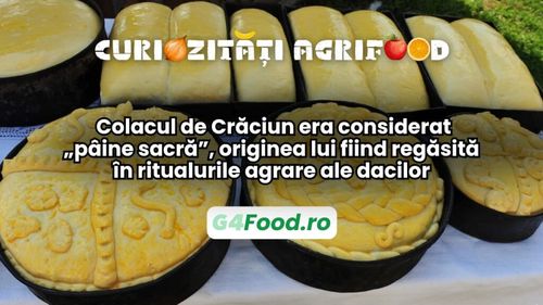 Curiozități agri-food 26 decembrie: Colacul de Crăciun era considerat „pâine sacră”, originea lui fiind regăsită în ritualurile agrare ale dacilor